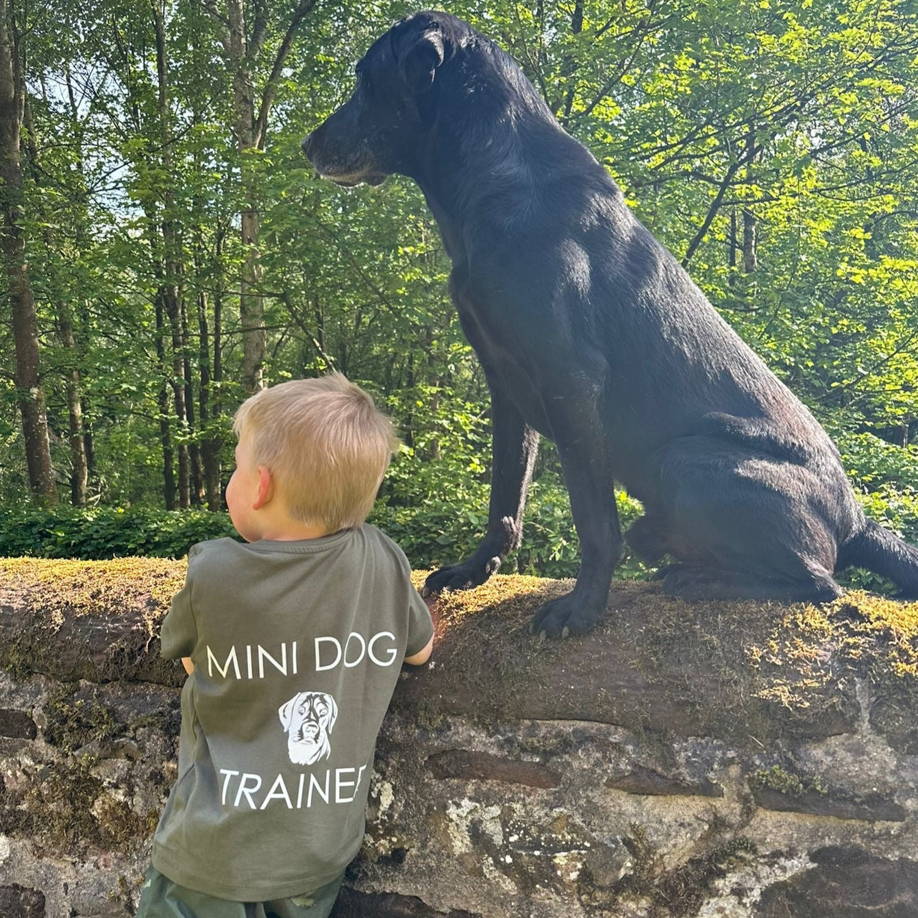 Mini dog trainer t-shirt
