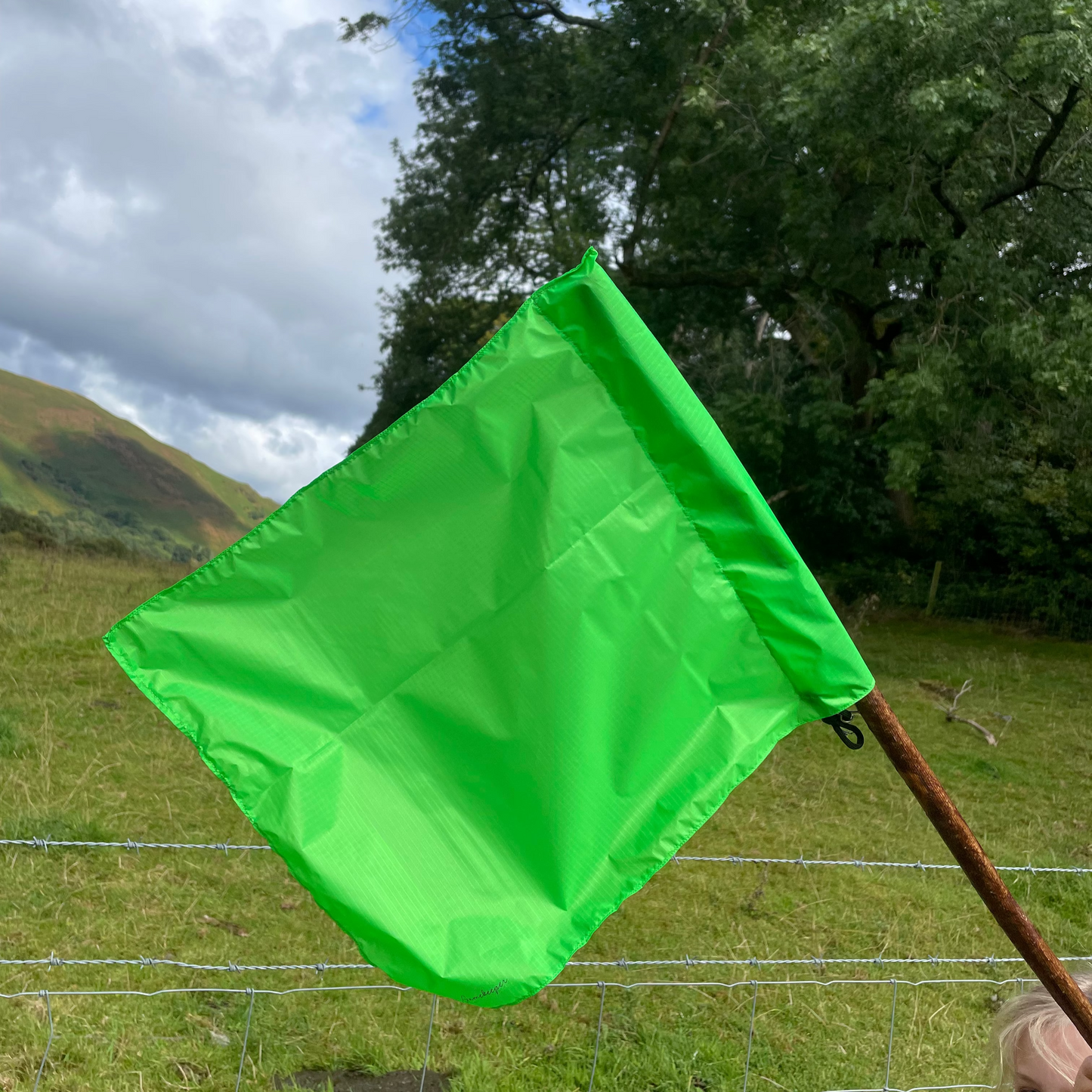 Adult beaters flag